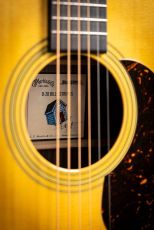 MARTIN D-28 BILLY STRINGS