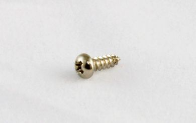 Truss Rod Cover Screw