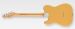 FENDER PLAYER II TELECASTER, Butterscotch Blonde