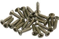 Road Worn® Pickguard/Control Plate Screws