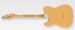 FENDER 75th ANNIVERSARY VINTERA ROAD WORN® 1951 TELECASTER