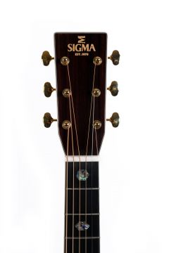 SIGMA DT-41 w/Soft Shell Case