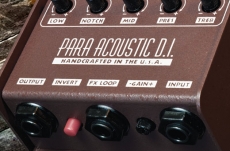 L.R. BAGGS PARA DI PREAMP