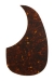 Tortoise Acoustic Pickguard