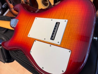 GODIN PROGRESSION PLUS 2019 Oulu