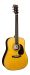 MARTIN D-28 BILLY STRINGS