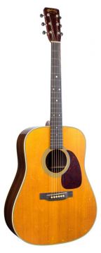 MARTIN D-28 Rich Robinson 