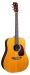 MARTIN D-28 Rich Robinson