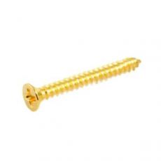 Humbucking Ring Screws, Gold (Pack of 8)