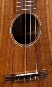 MARTIN T1K UKE